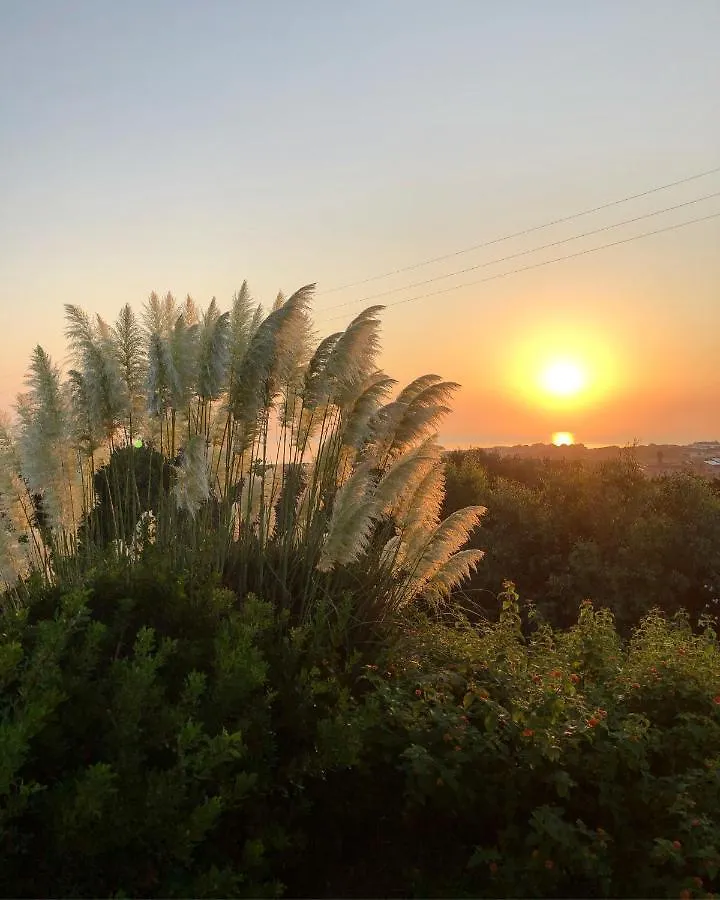 Bed & Breakfast Amaremare B&B Stintino